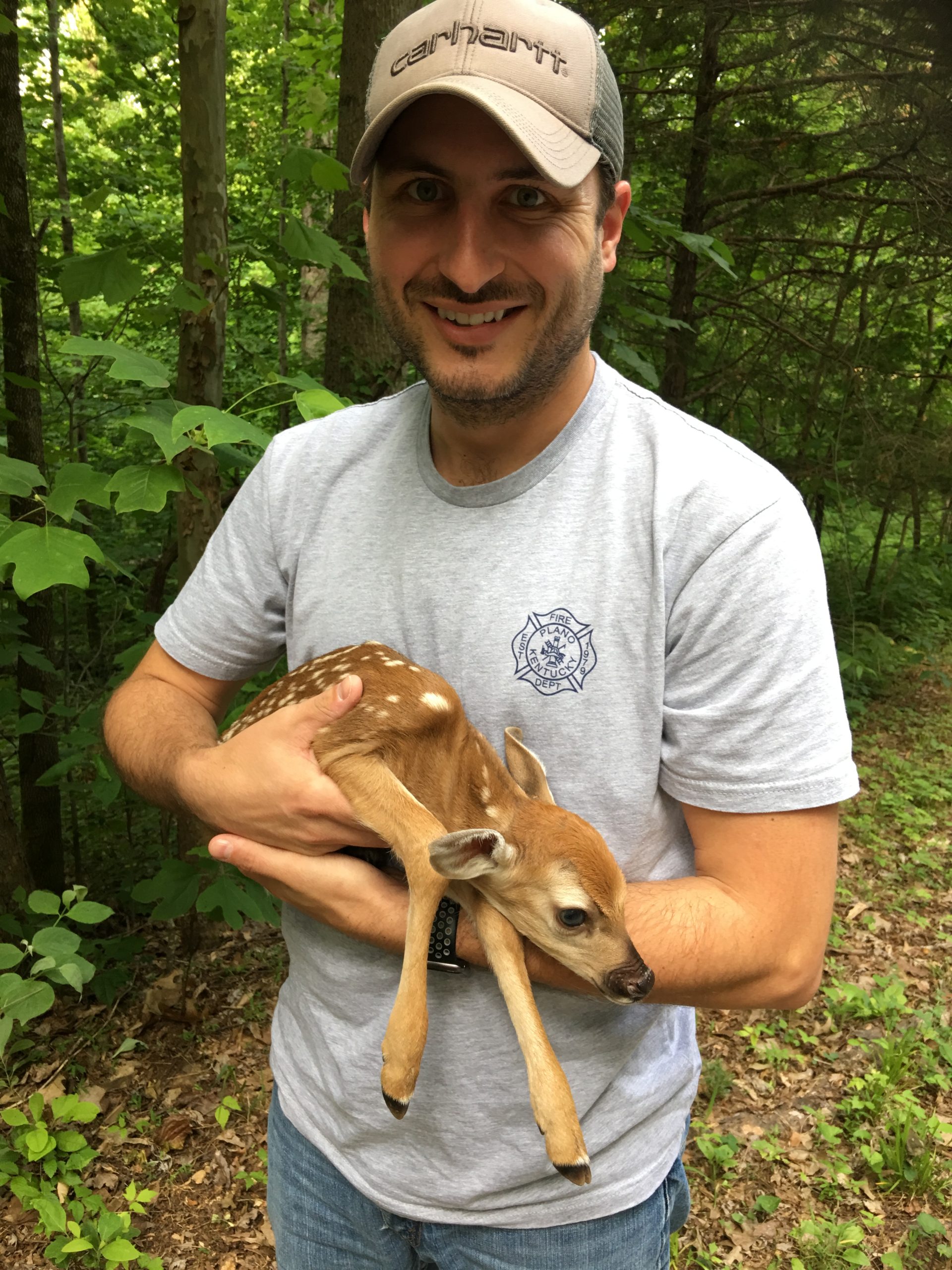 Gestation Period Of Whitetail Deer - Deer Reproduction Explained